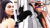 Kendall Jenner Accused Of Fleeing Scene After Her Dog Bit A Little Girl!