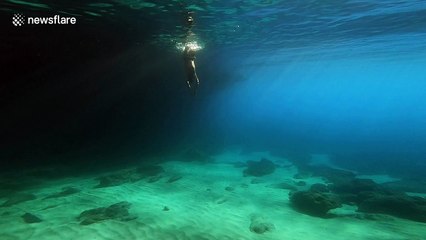 Snorkeler blows column of bubble rings, swims through