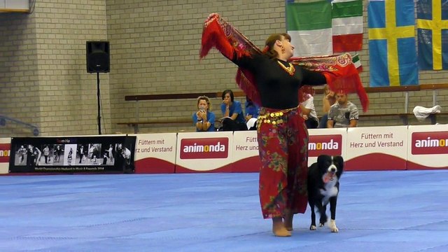 Border collie and owner wow audience with captivating routine at Dog Dance World Championships