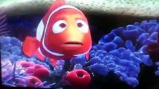 The Best Scenes From Finding Nemo
