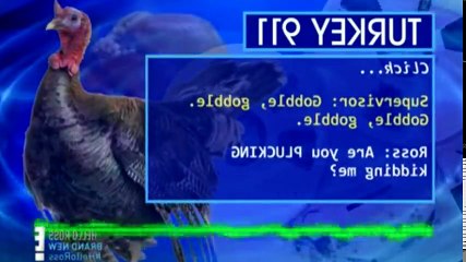 Hello Ross S01 - Ep12 Jeff Lewis HD Watch