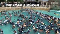 Canicule : vague humaine en Corée du Sud