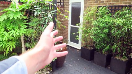 Pokemon GO NEW POKEMON, TRADING + BREEDING! (NEW STUFF!)