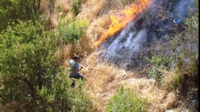 Hizan’da Çıkan Orman Yangınında 3 Bin Dönüm Orman Kül Oldu