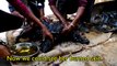 Sauvetage d'un chien englué dans du mazout au fond d'un baril de pétrole en Inde