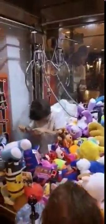 Ce gamin rentre dans le jeu pour voler les peluches à la fête foraine !
