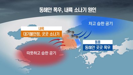 [날씨] 폭우·소나기에도 꺾이지 않는 폭염...언제 꺾이나? / YTN