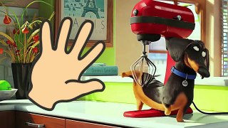 Pets Finger Family | Nursery Rhymes and more
