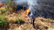 Hizan’da çıkan orman yangınında 3 bin dönüm orman kül oldu