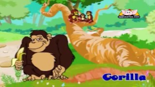 Picture Dictionay Animals Kids Animation Learn Series