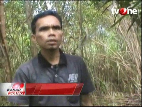 Kawanan Gajah Rusak Perkebunan Warga di Aceh