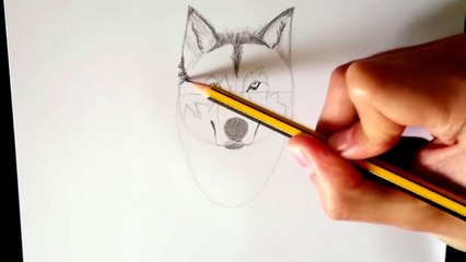 Como dibujar un lobo paso a paso How to draw a wolf step by step