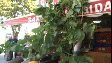 Kontrolden Çıkan Otomobil Manav Sergisine Daldı