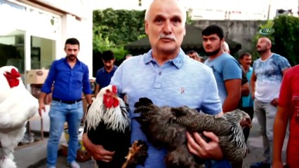 Bu Tavuklar Rekor Fiyata Satılıyor