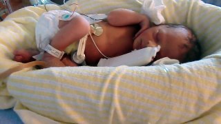 Newborn Baby, one day old!