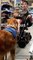 [SCANDALE] Ce magasin Carrefour refuse l'accès à des personnes handicapées accompagné d'un chien d'assistance