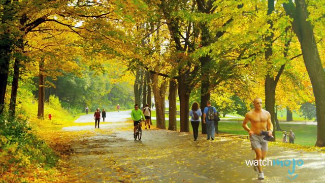 Annonce Importante Vidéos originales pour WatchMojo Français !