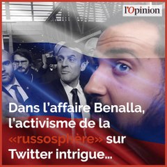 L’affaire Benalla gonflée sur les réseaux par «l’écosystème russophile ?»