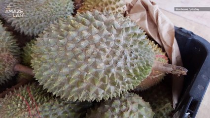 Here Are the Worst Smells, According to Science