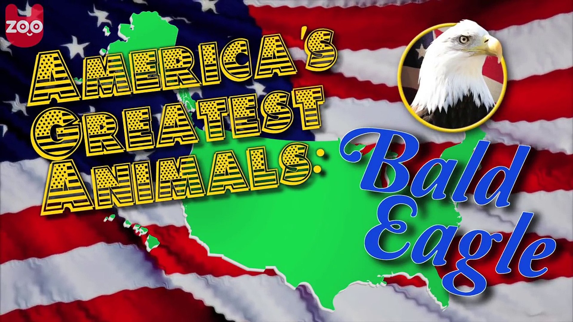 Americas Greatest Animals: The Bald Eagle