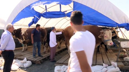 Kurban Bayramı'na doğru - İSTANBUL