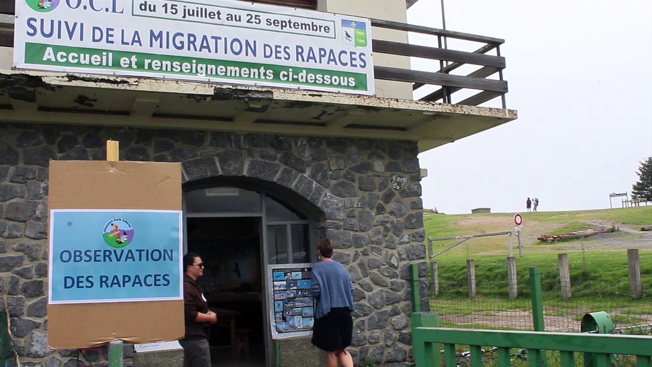 Migration des rapaces au Soulor