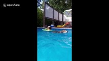 Dynamic duo! Swimming Husky pulls along a surfing Corgi