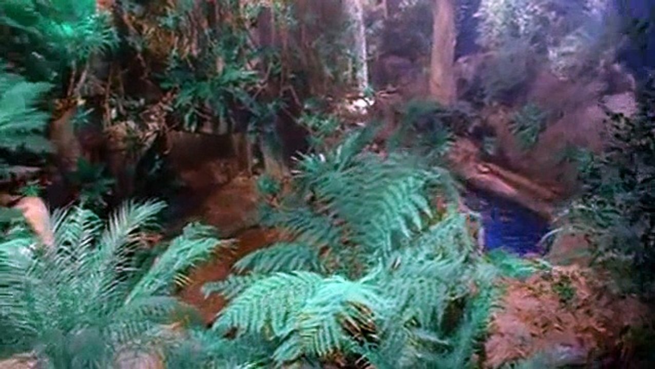 Beastmaster S01 E01