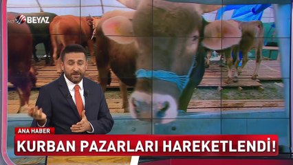 Kurban pazarı hareketlendi (Beyaz Tv Özel Haber)