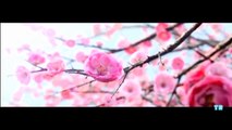 MULAN (2019) Teaser Trailer Concept - Liu Yifei 1