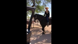 Woman rises to In My Feelings challenge ... on horseback