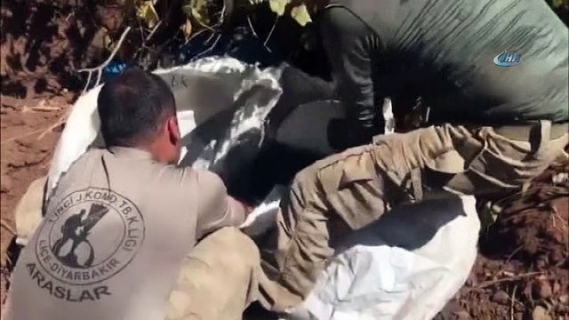 Diyarbakır'da uyuşturucu operasyonu: 284 kilo uyuşturucu ile 2 bin kök kenevir bitkisi ele geçirdi