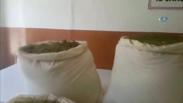Diyarbakır'da Uyuşturucu Operasyonu: 284 Kilo Uyuşturucu ile 2 Bin Kök Kenevir Bitkisi Ele Geçirdi