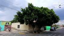 México: Encontraron 10 cuerpos en fosa clandestina dentro de una casa