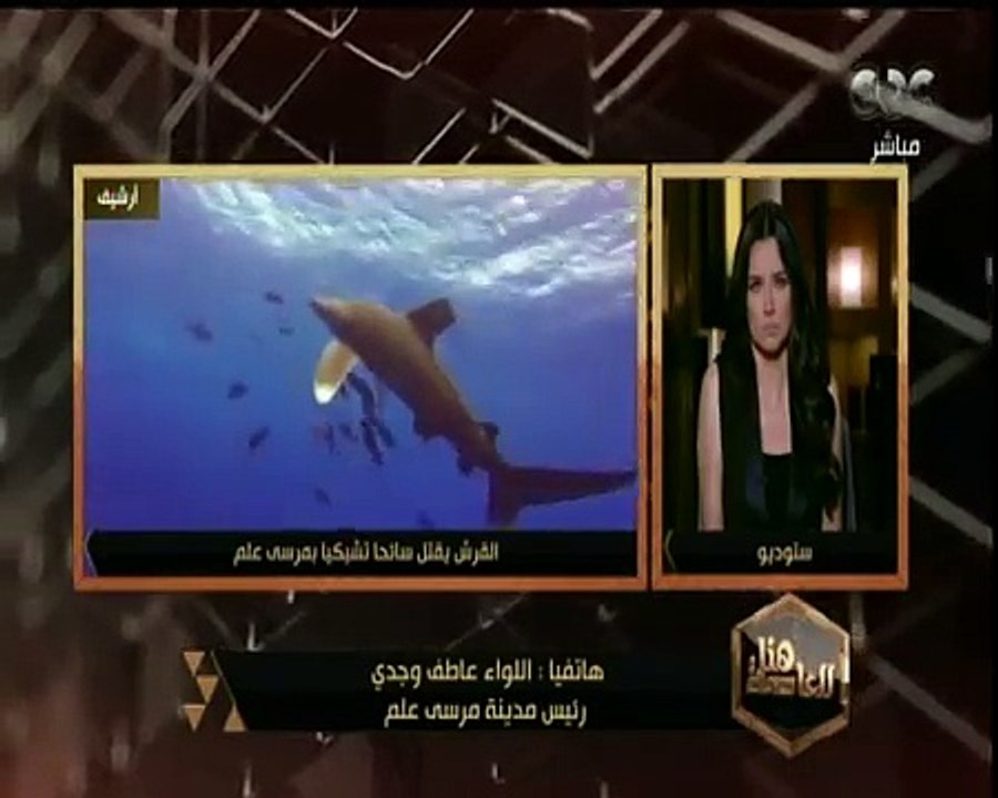 Shark Attack_Red Sea
