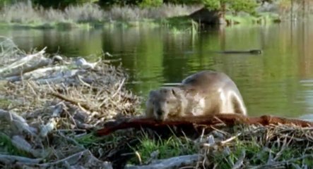 Nature Nuts with Julian Clary S01  E03 Thi endale - Part 02