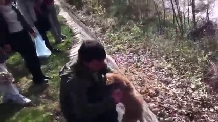 Sauvetage d'un chiot traversant une rivière gelée !