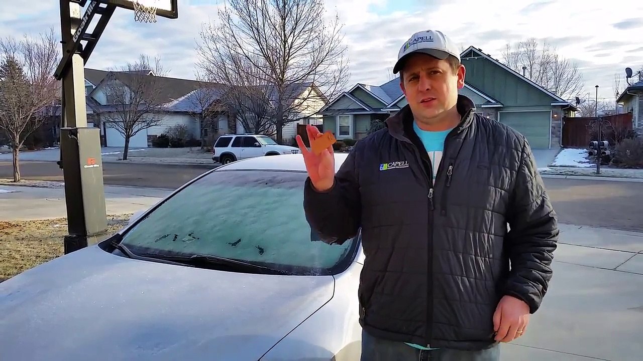 Laminate Samples Being Put to Good Use - Matt Capell of Capell Flooring