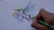 Como dibujar un colibrí estilo acuarela - Drawing Hummingbird acuarelle tattoo design - Nosfe Ink Tattoo