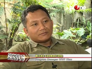 Korban Perburuan Gading (Bagian 3)