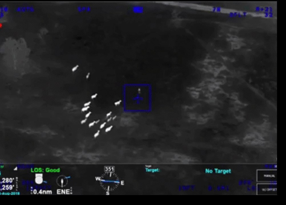 Cattle 'Chase Down' Suspect Who Fled Crashed Car During Police Pursuit