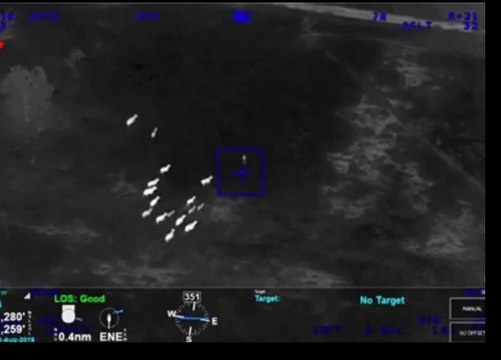 Cattle 'Chase Down' Suspect Who Fled Crashed Car During Police Pursuit