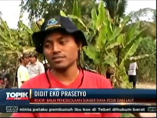 Evakuasi Dramatis Lumba-lumba Tersangkut Hutan Bakau