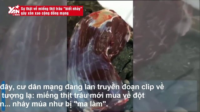 Sự thật về miếng thịt trâu biết nhảy gây xôn xao cộng đồng mạng