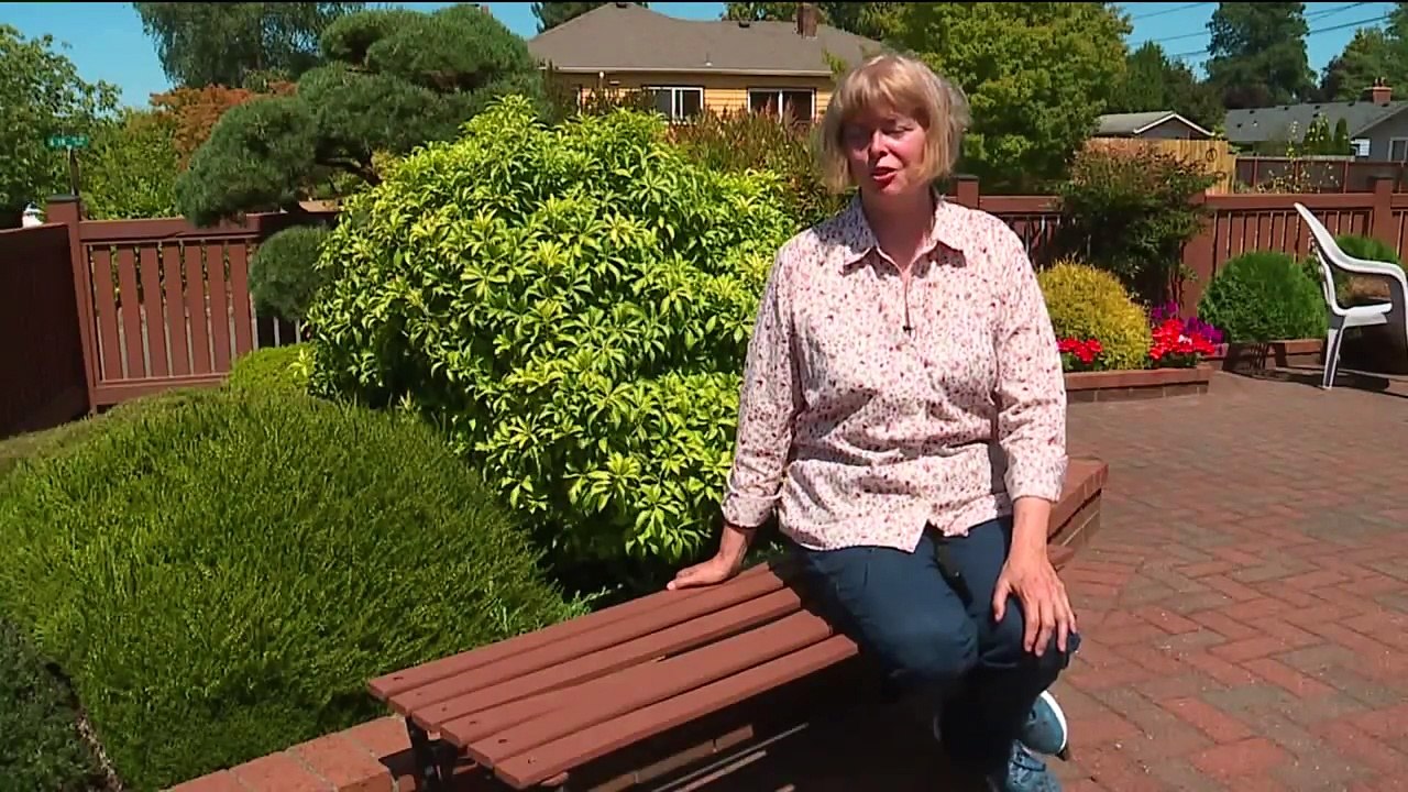 Serial Cat Killer Strikes Again as Seventh Cat Found Mutilated in Washington