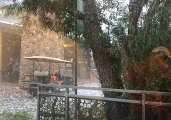 Скачать видео: Softball-Sized Hailstones Kill Animals, Injure Guests at Colorado Springs Zoo