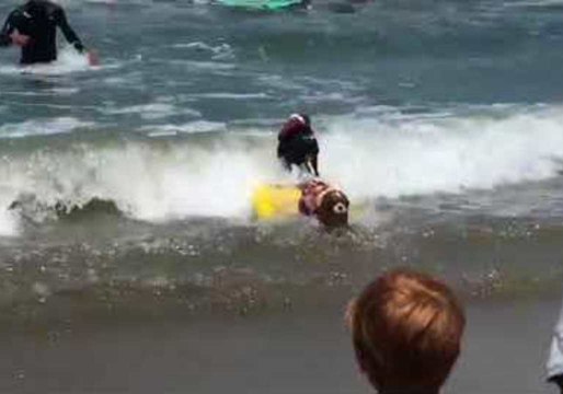 Surf Dogs Hit the Waves for World Championships in Pacifica, California