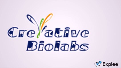 proteins and antibodies