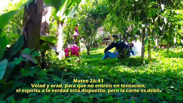 Hno Javier Choque Lágrimas x Amor a Cristo 2018 Mi Nueva Vida videoclip OFICIAL✓