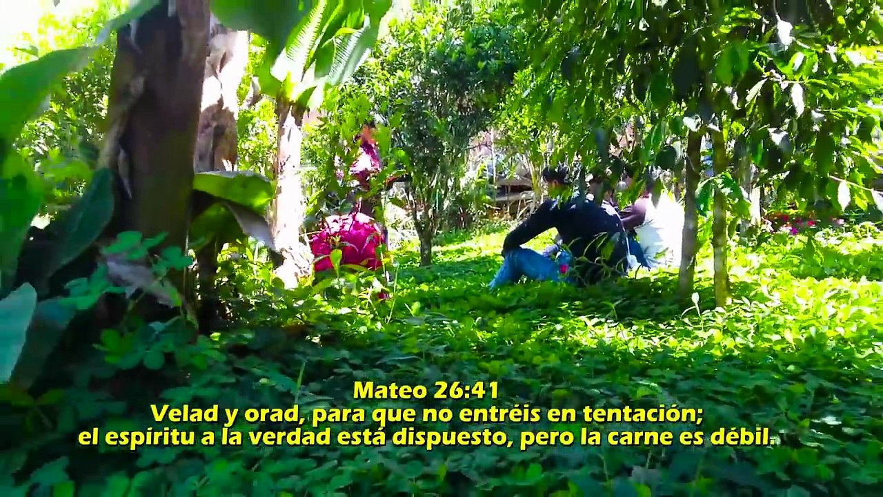 Hno Javier Choque Lágrimas x Amor a Cristo 2018 Mi Nueva Vida videoclip OFICIAL✓